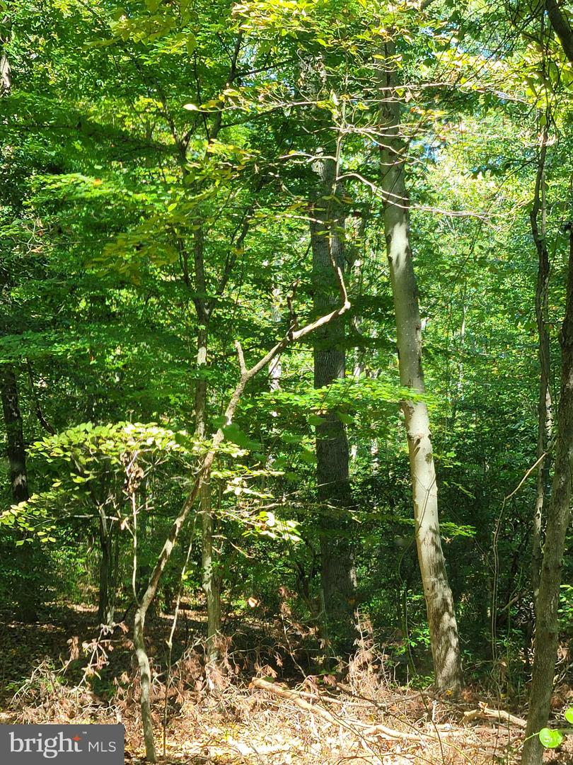12448 Ridge Rd Property Photo 2