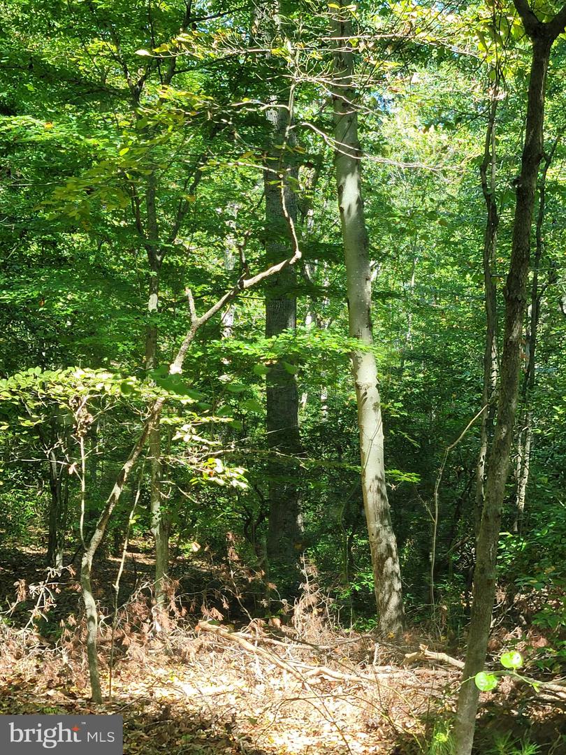 12448 Ridge Rd Property Photo 3