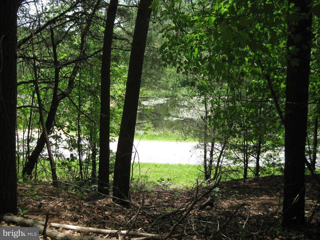 11234 Cove Lake Rd Property Photo 3