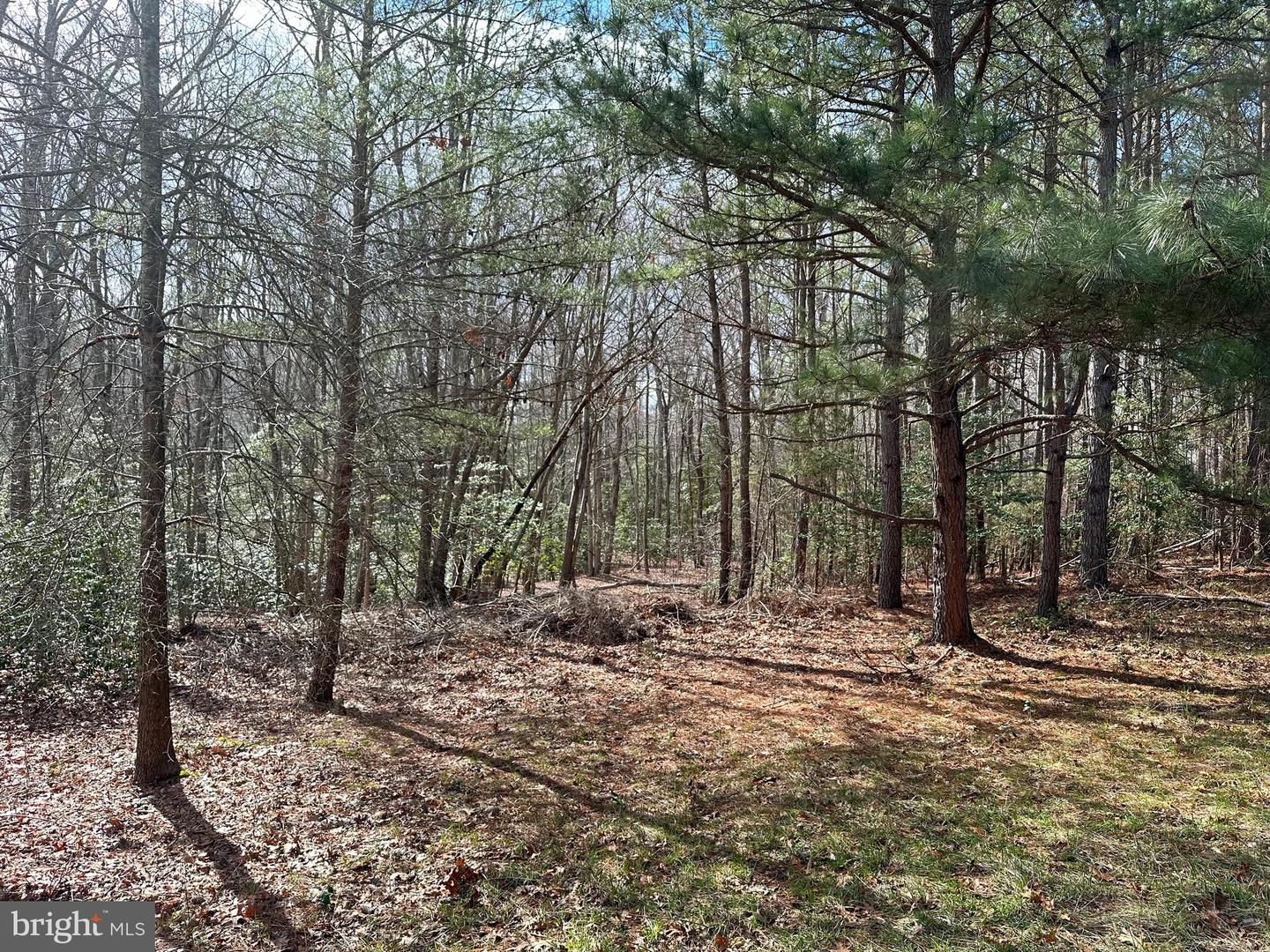 12921 Pine Ln Property Photo 1