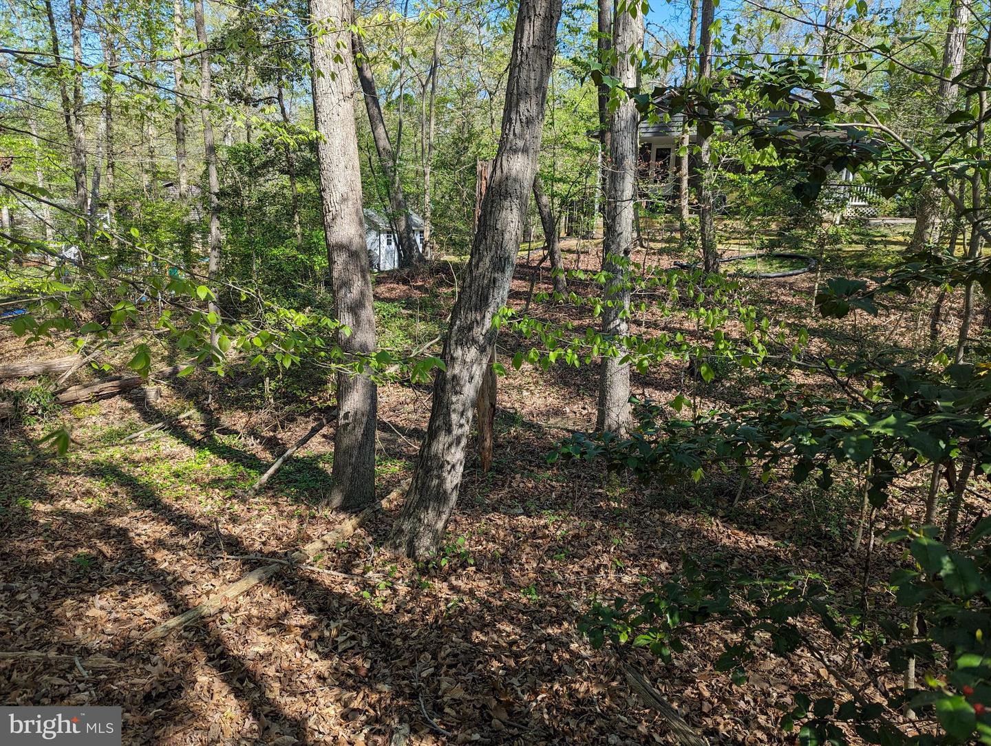 11577 Deadwood Dr Property Photo 2