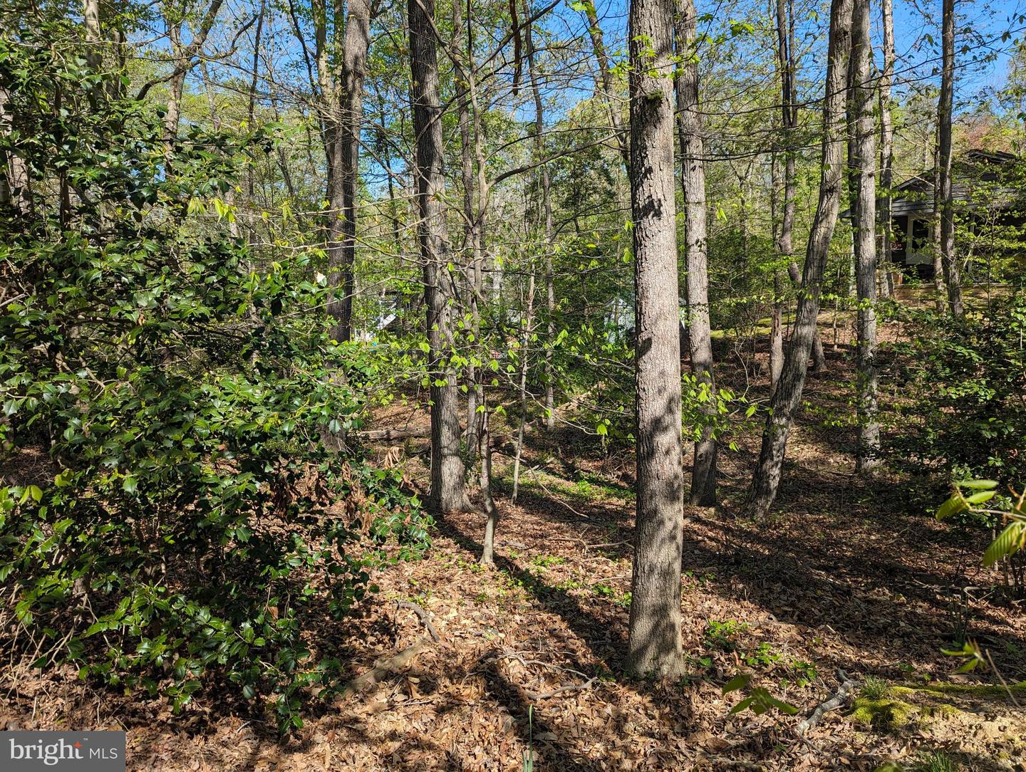 11577 Deadwood Dr Property Photo 4