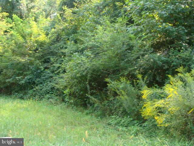 4035 St Leonard Rd Property Photo 2