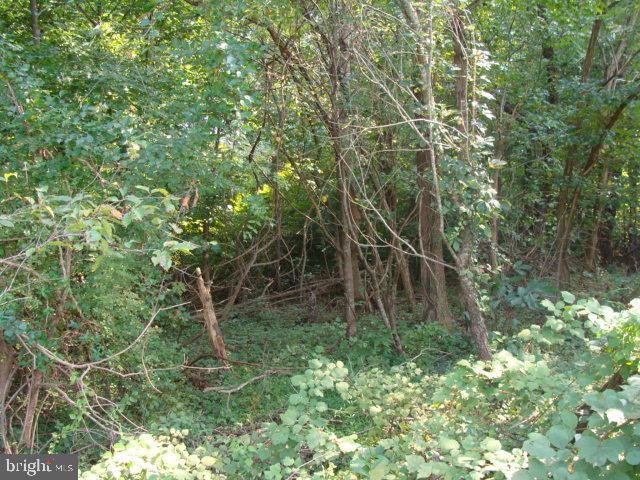 4035 St Leonard Rd Property Photo 4