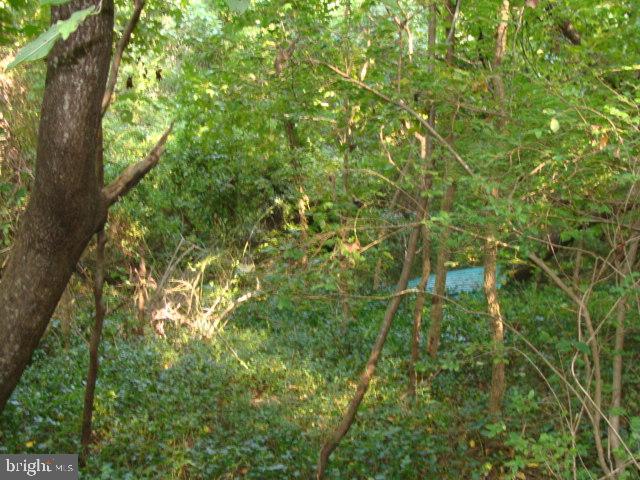 4035 St Leonard Rd Property Photo 7