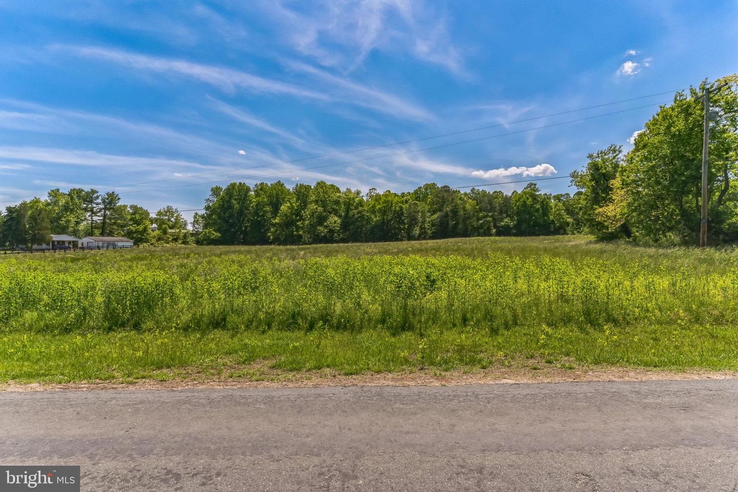 2195 Henry Hutchins Rd Property Photo 6