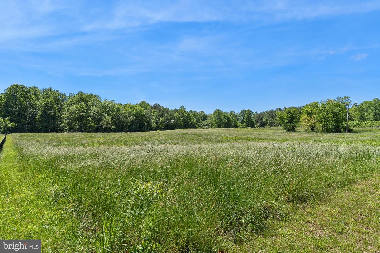2195 Henry Hutchins Rd Property Photo 10