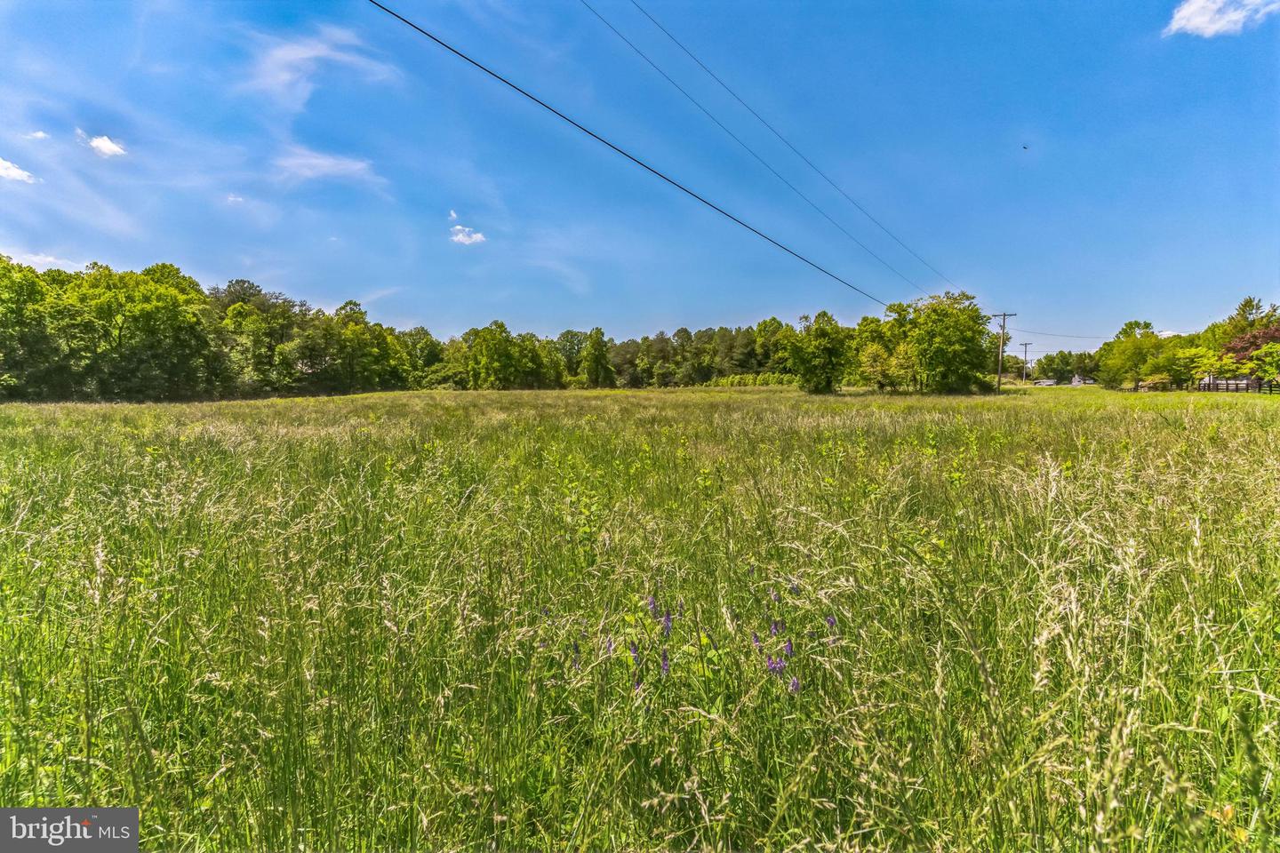 2195 Henry Hutchins Rd Property Photo 11