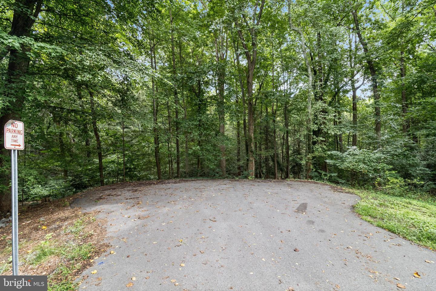 572 Evergreen Ct Property Photo 14