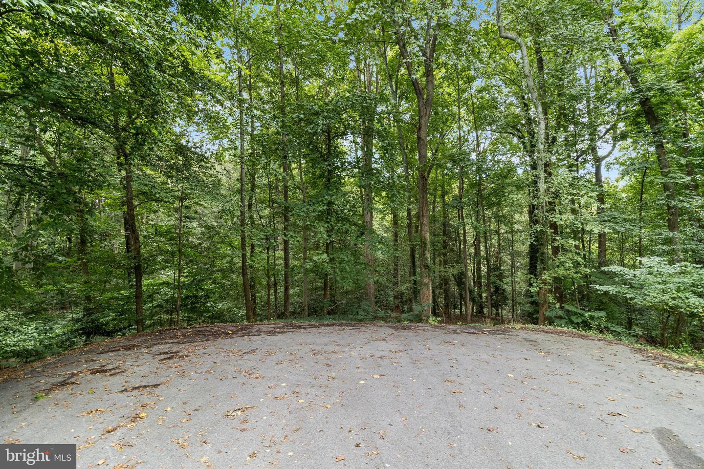 572 Evergreen Ct Property Photo 15