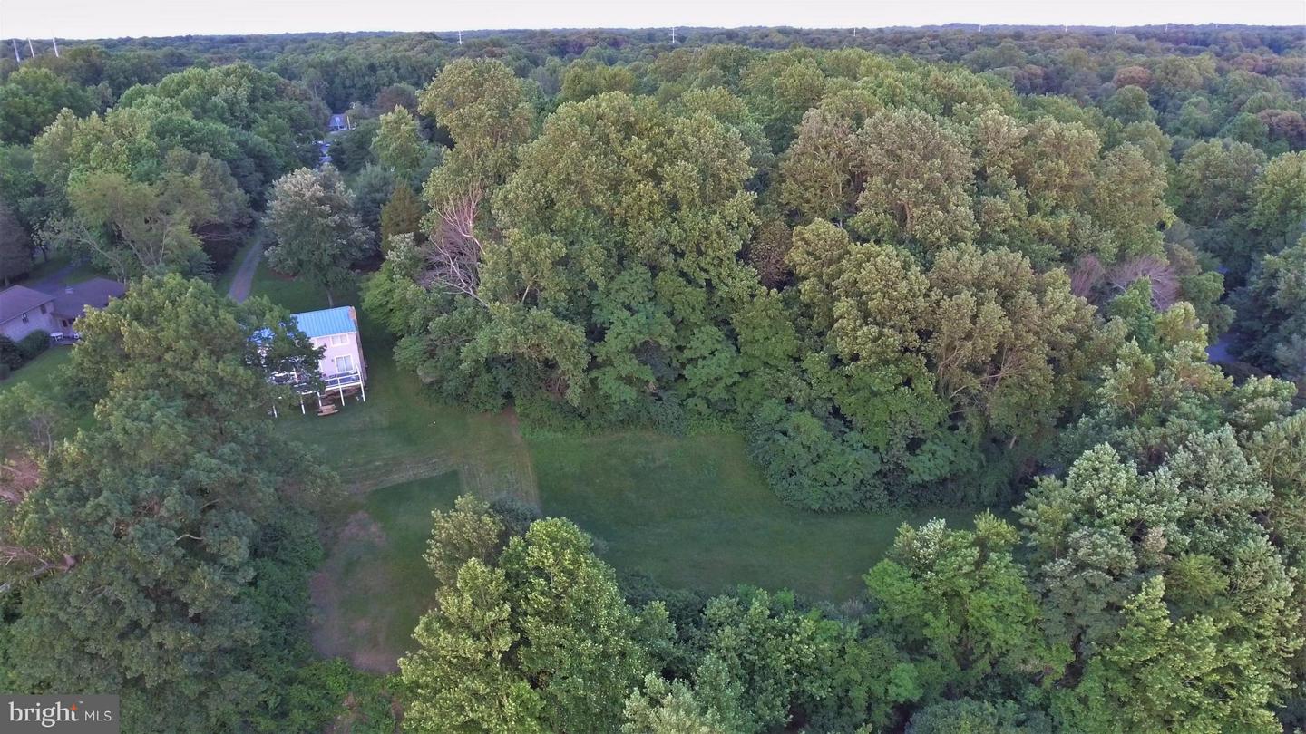 3159 Holland Cliffs Rd Property Photo 7