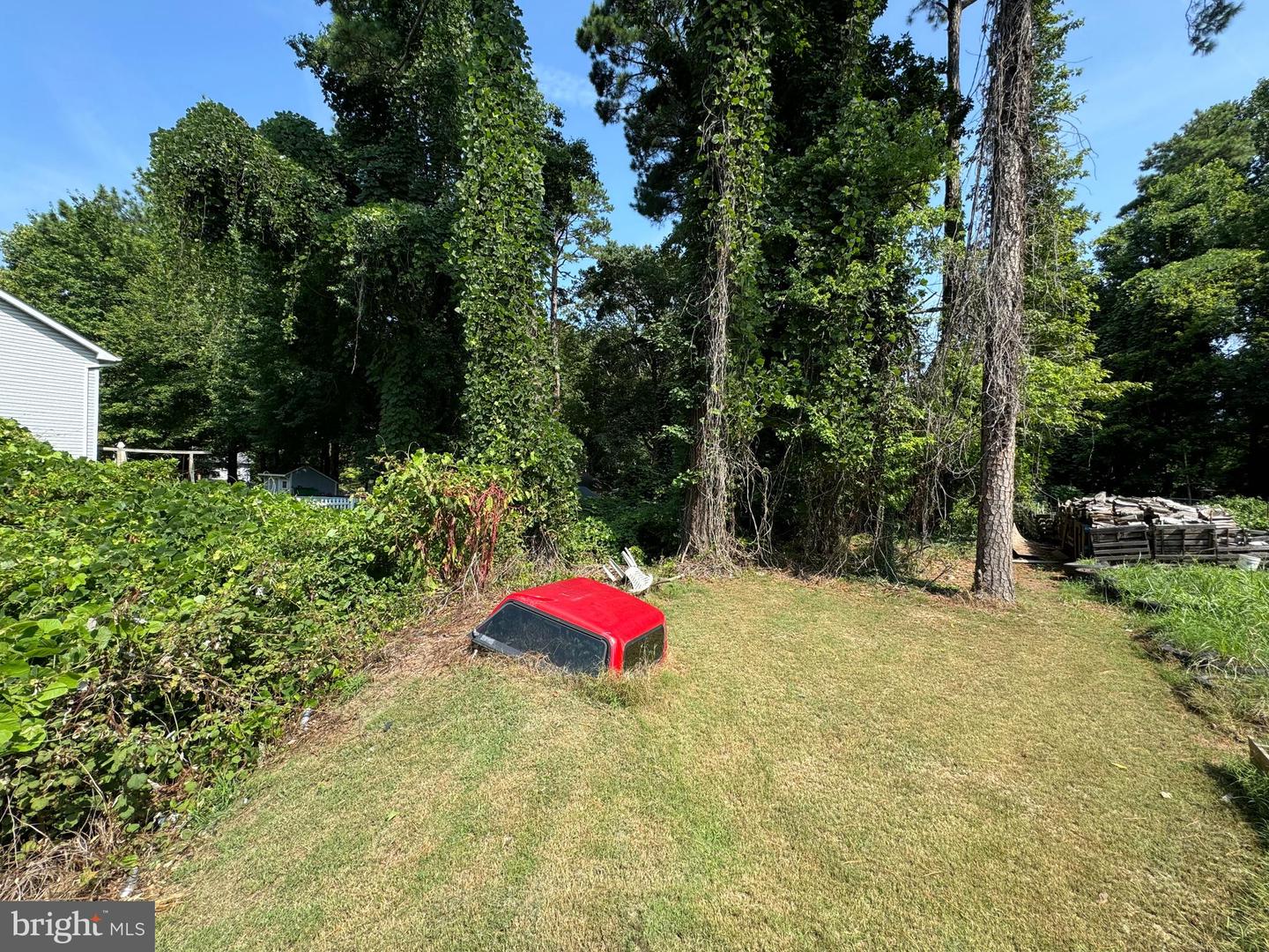 1044 Redeye Rd Property Photo 4