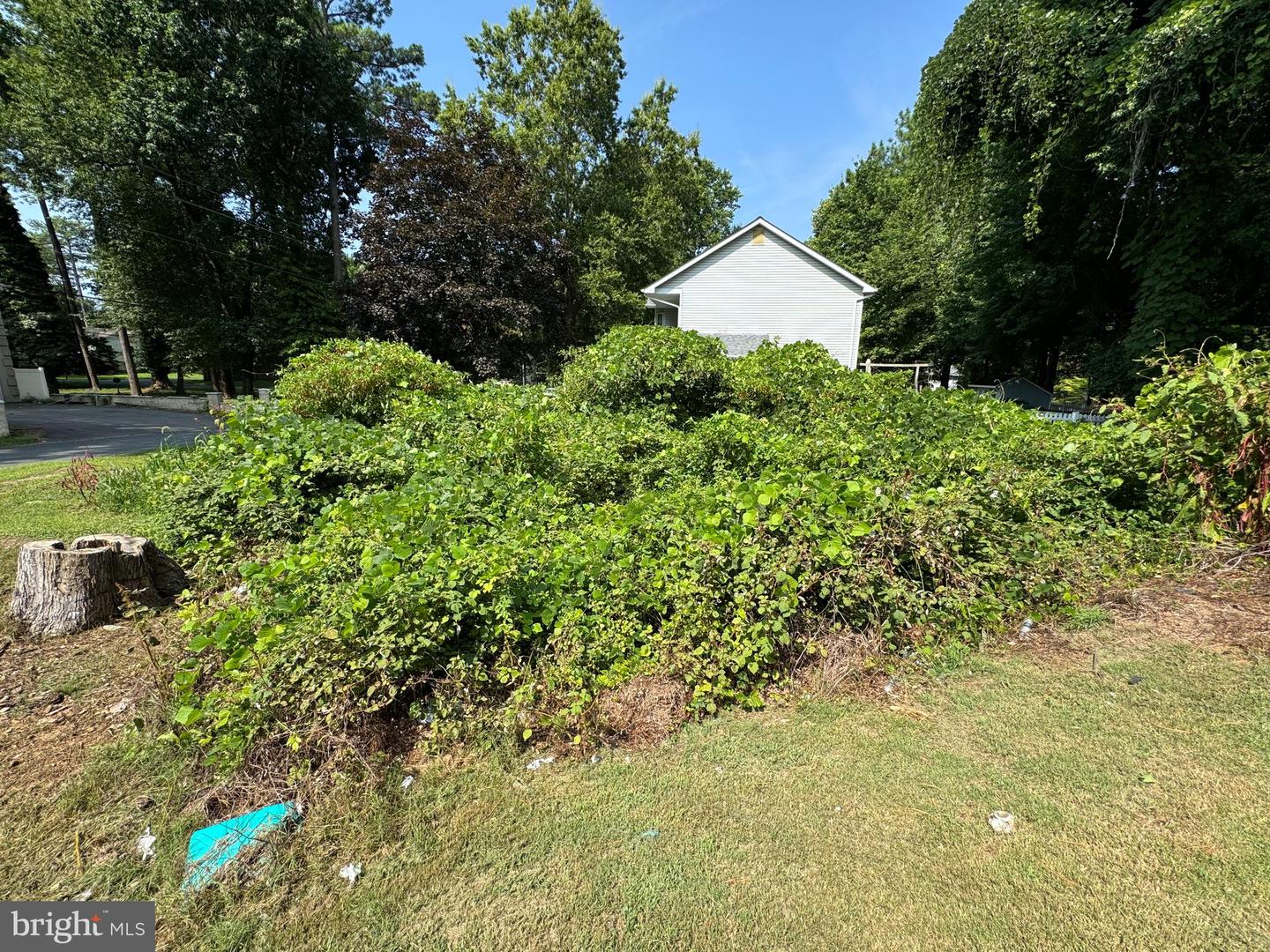1044 Redeye Rd Property Photo 5