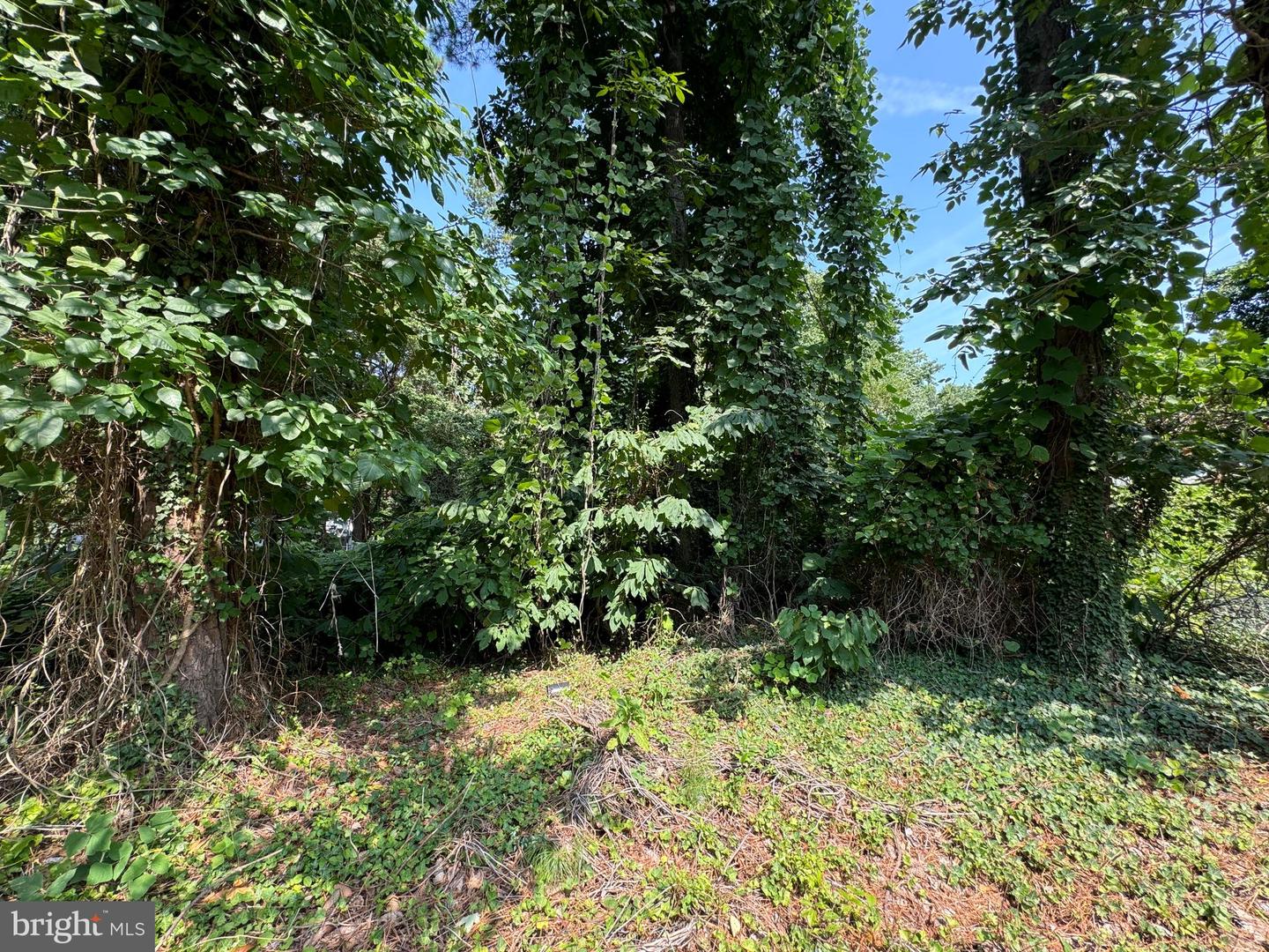 1044 Redeye Rd Property Photo 6
