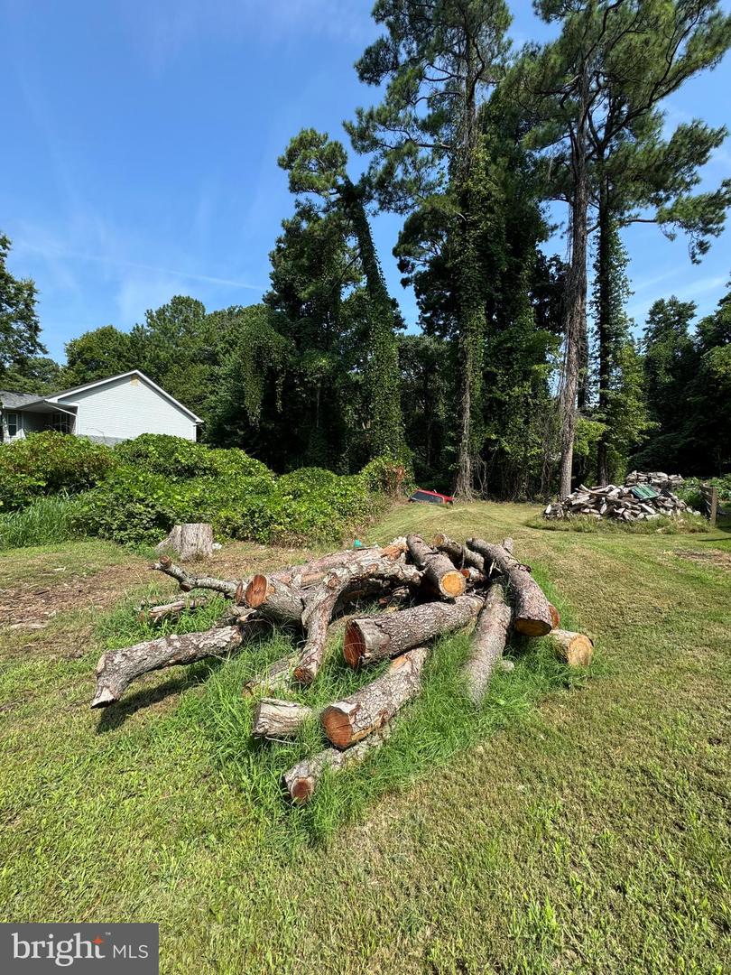 1044 Redeye Rd Property Photo 7