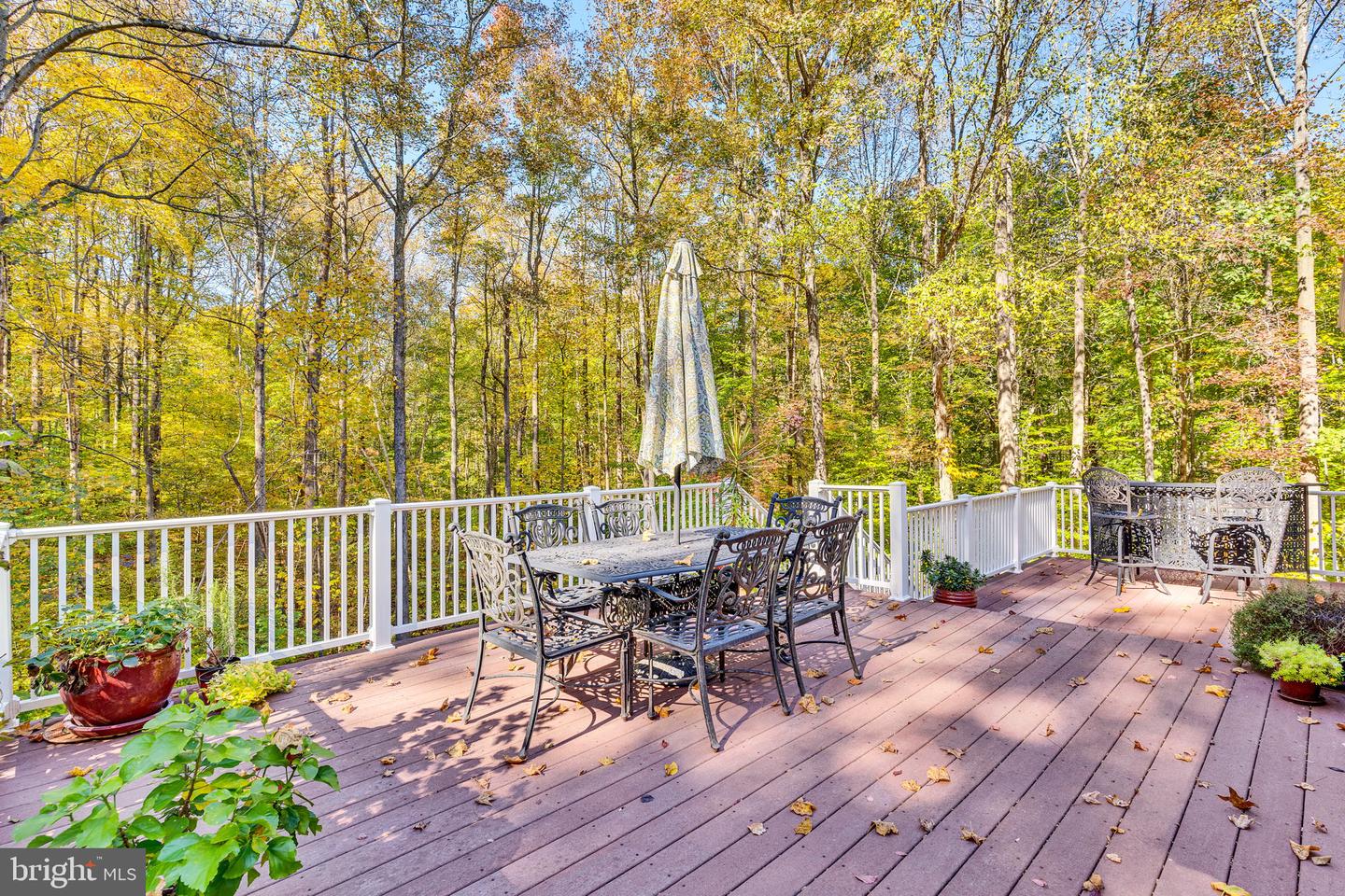 9260 Megatha Ln Property Photo 30