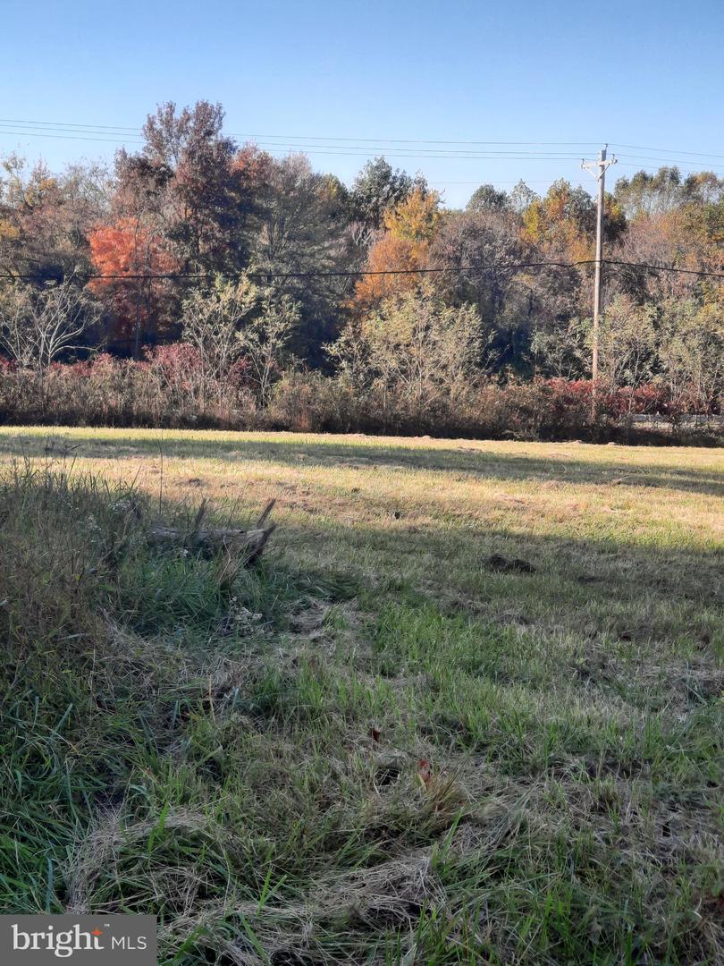 2950 Chaney Rd Property Photo 3