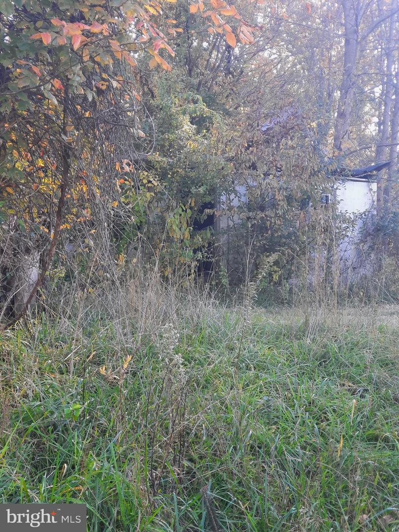 2950 Chaney Rd Property Photo 4