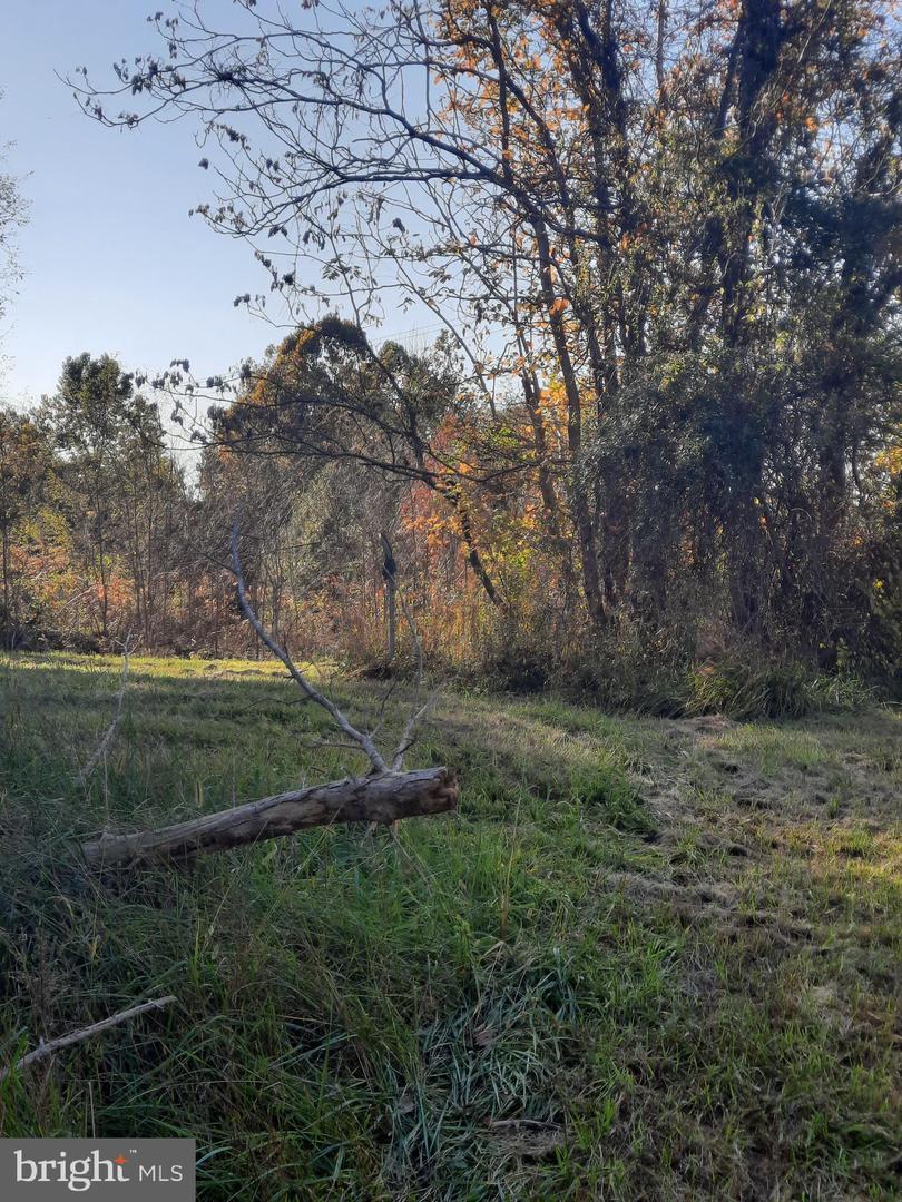 2950 Chaney Rd Property Photo 5