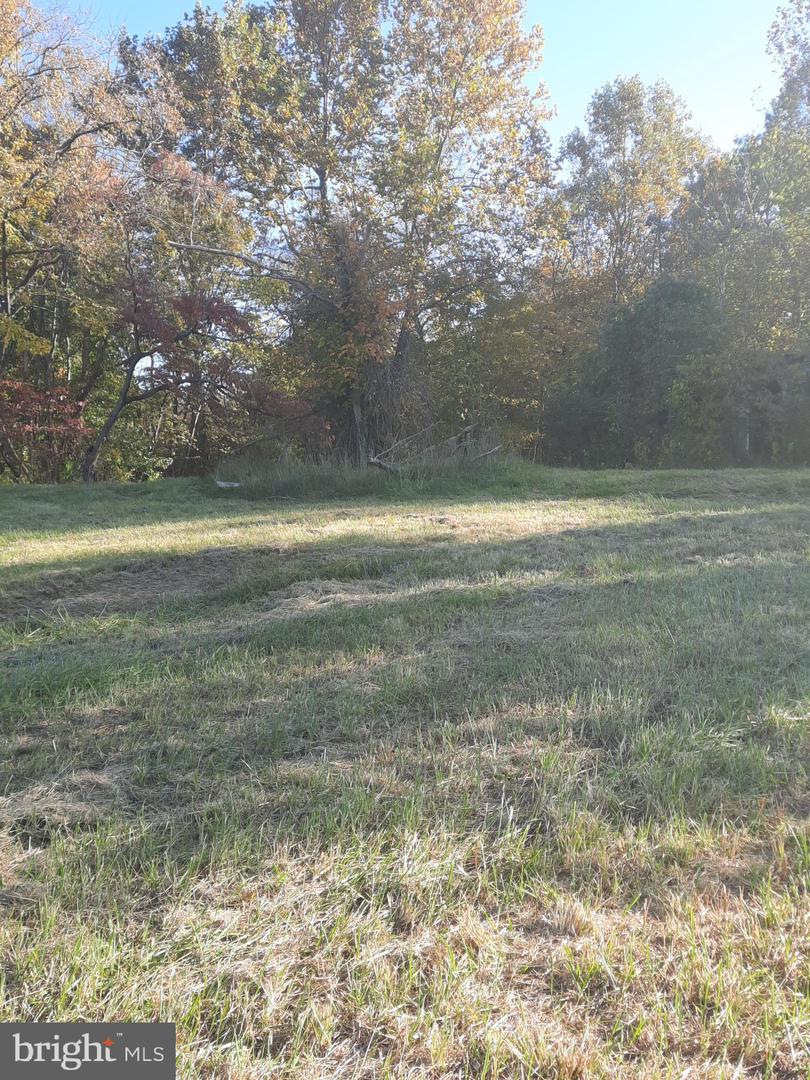 2950 Chaney Rd Property Photo 6