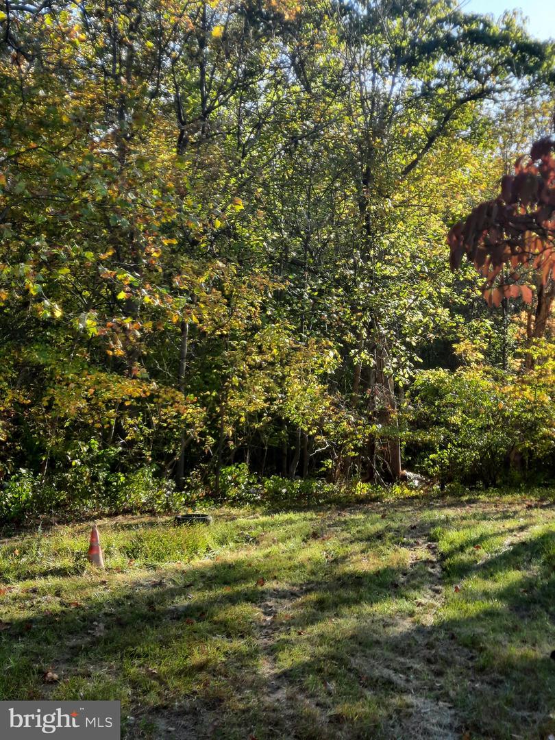 2950 Chaney Rd Property Photo 7