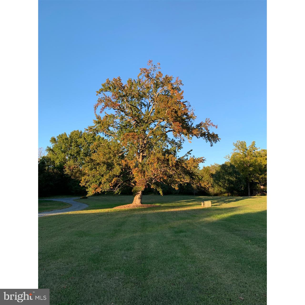 4710 Williams Wharf Rd Property Photo 18
