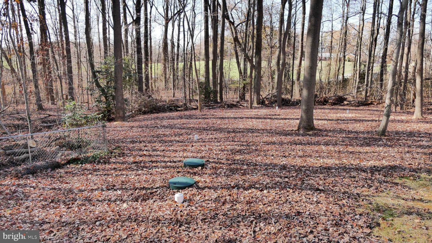 960 Bowie Shop Rd Property Photo 64