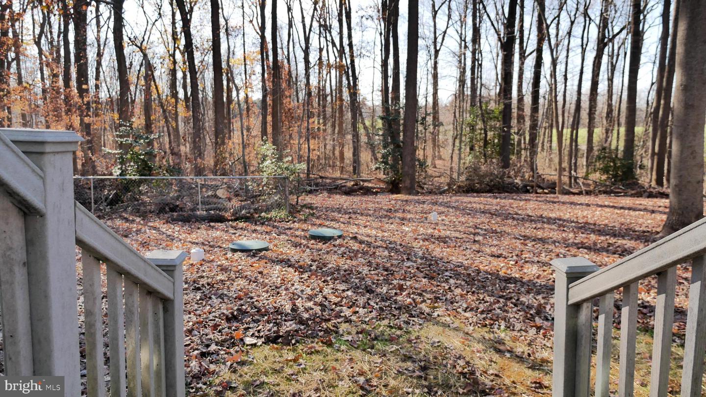 960 Bowie Shop Rd Property Photo 65