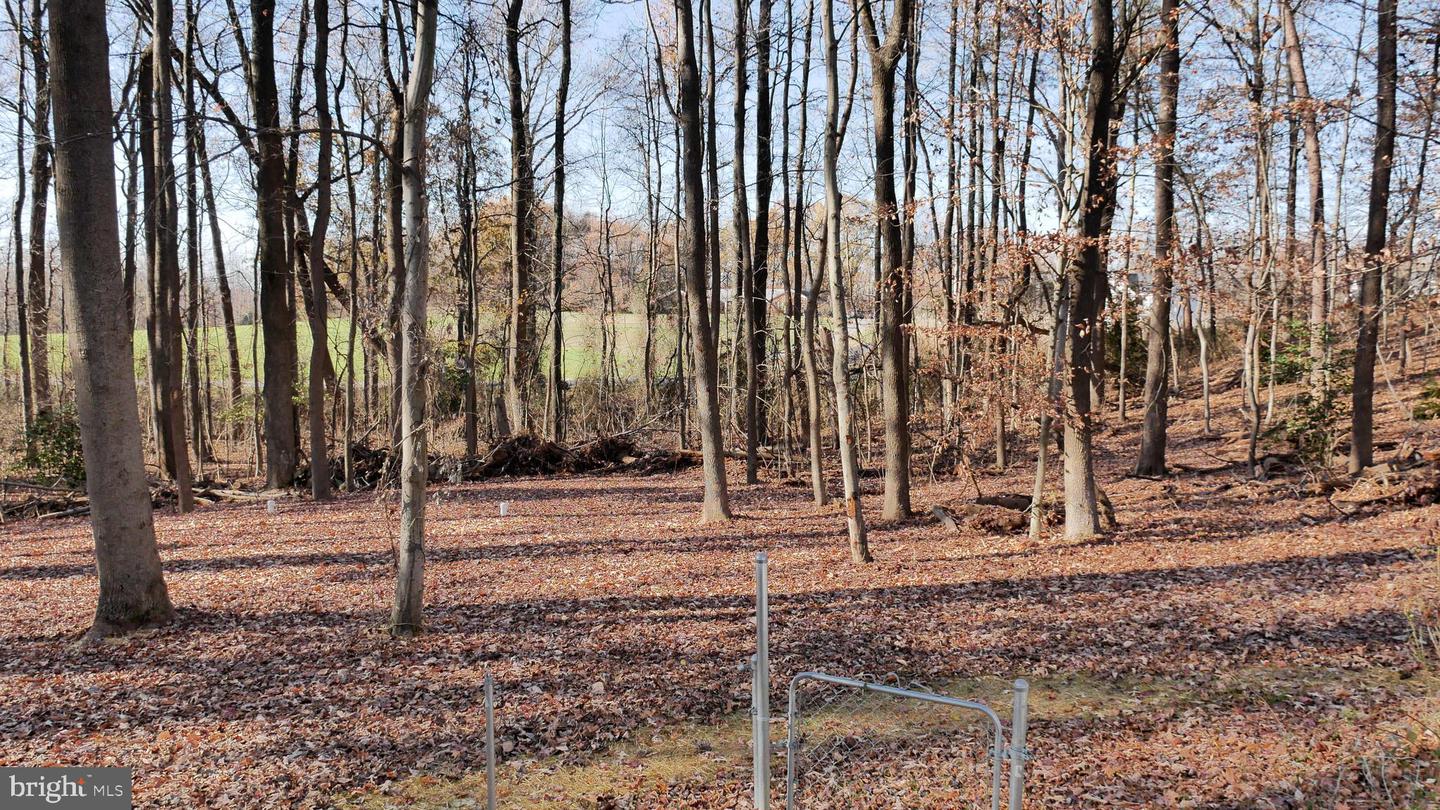 960 Bowie Shop Rd Property Photo 66