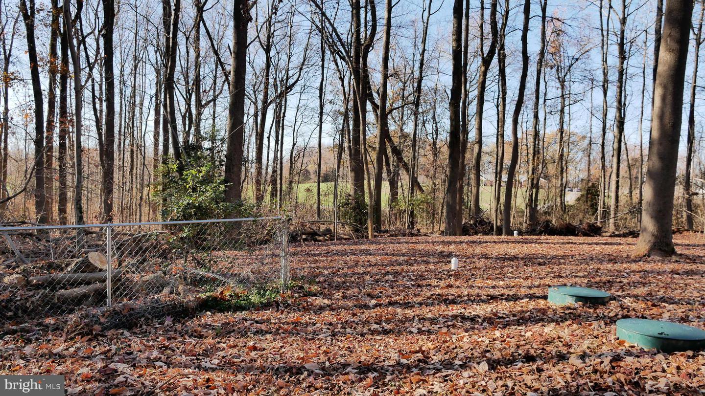 960 Bowie Shop Rd Property Photo 68