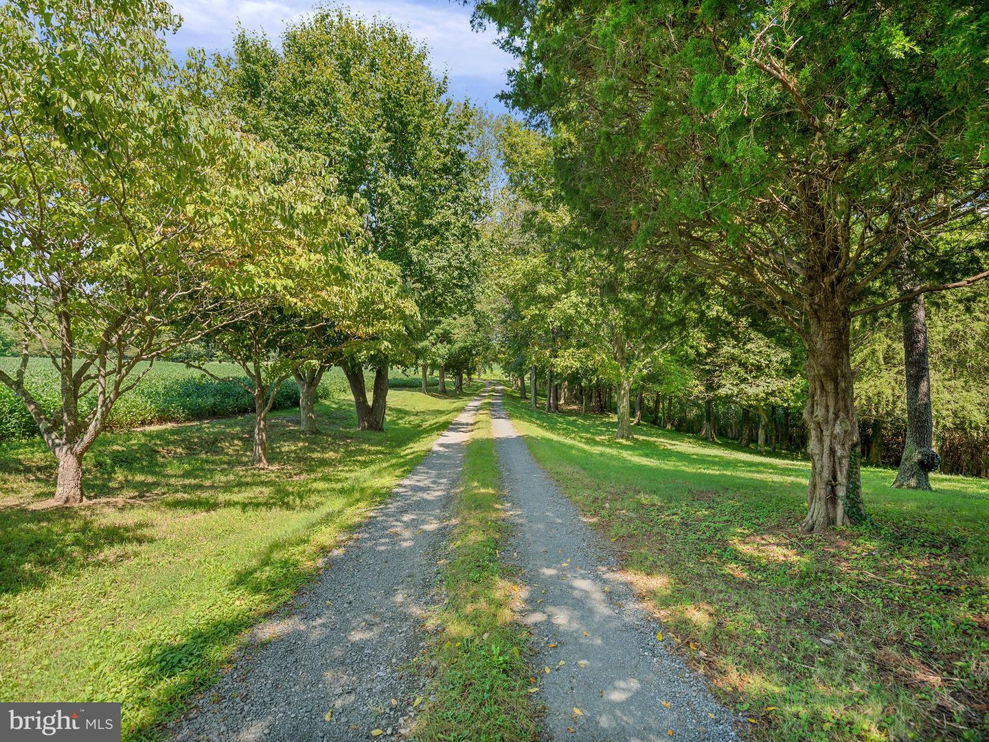 2070 Turner Rd Property Photo 3