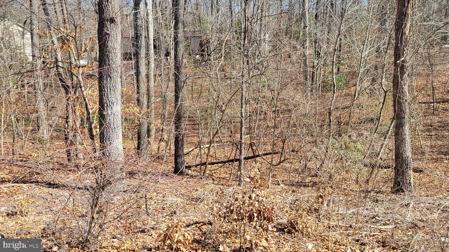 11436 Stirrup Ln Property Photo 1