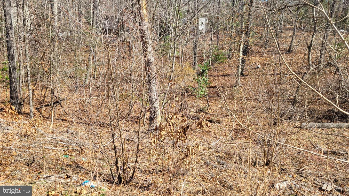 11436 Stirrup Ln Property Photo 3