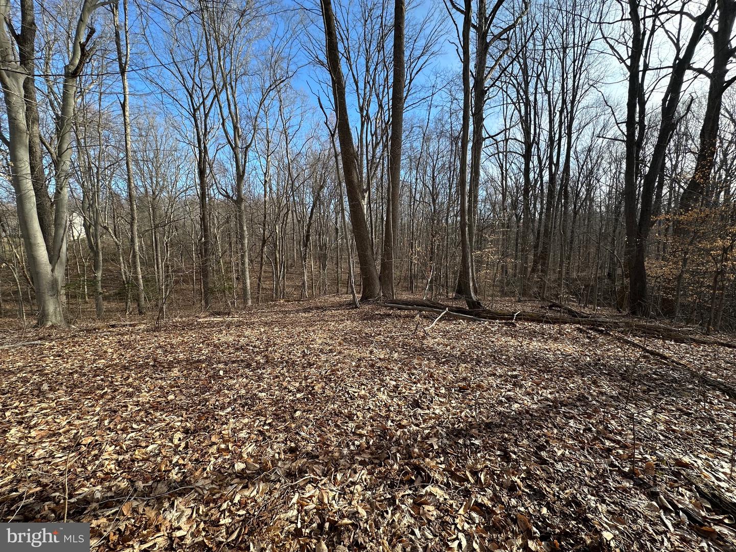 Huntingtown Real Estate Listings Main Image