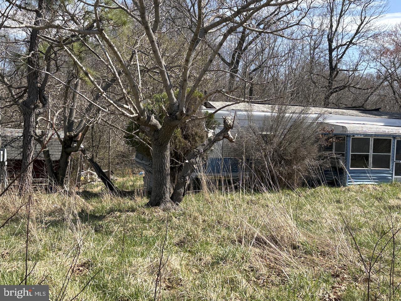 290 Skinners Turn Rd Property Photo 4