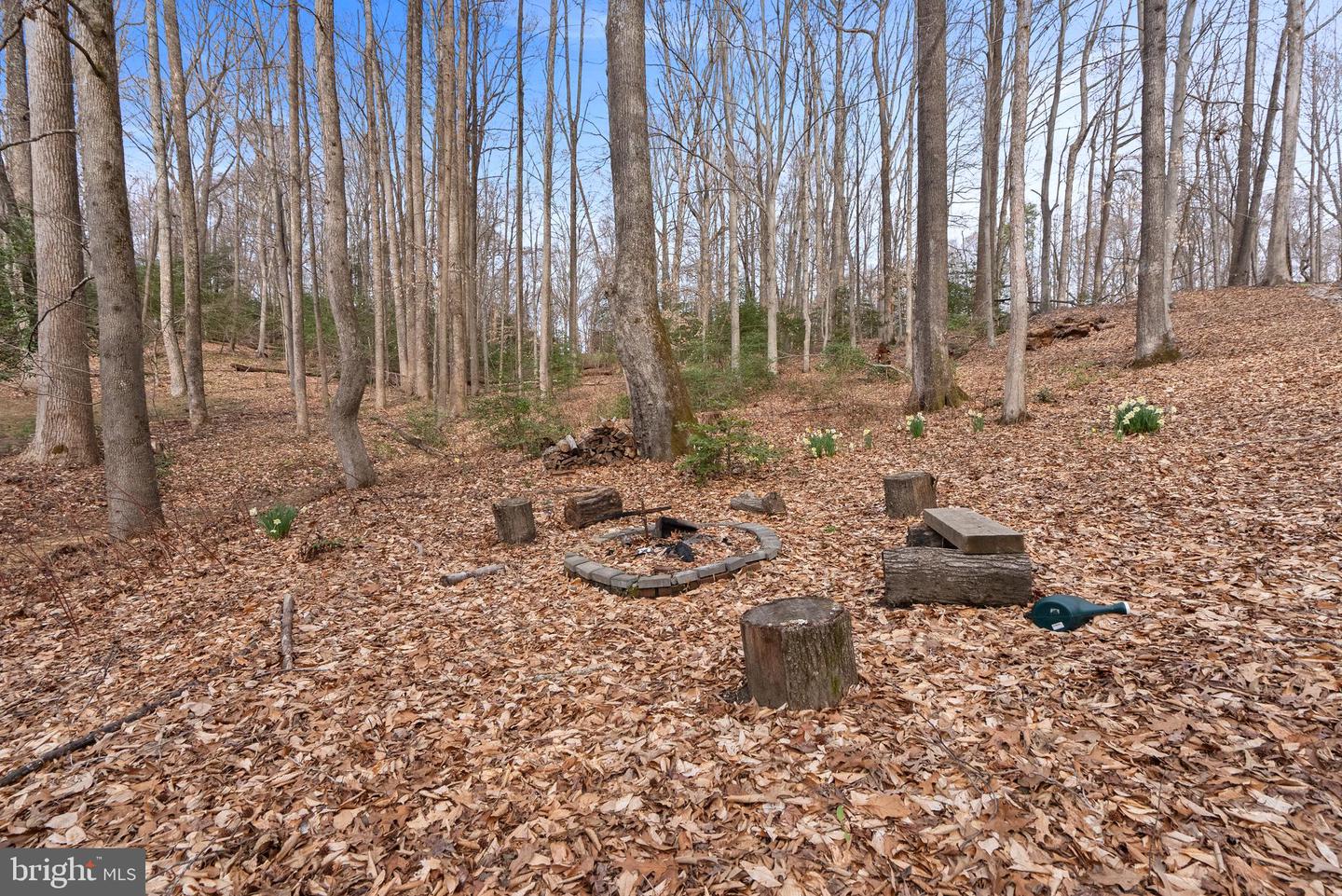 151 Autumn Ct Property Photo 87