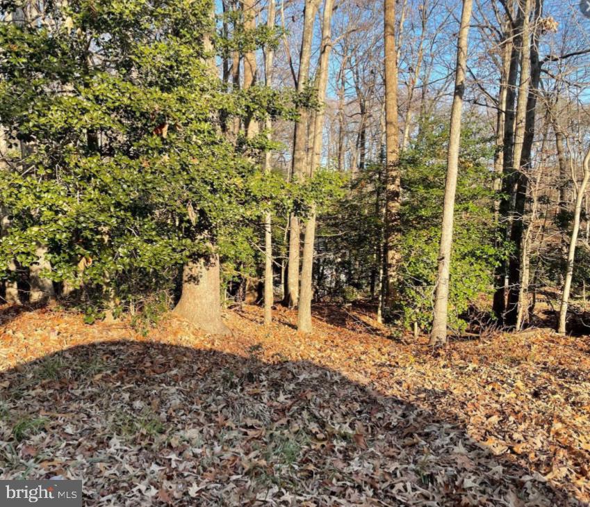11428 Redlands Rd Property Photo 1