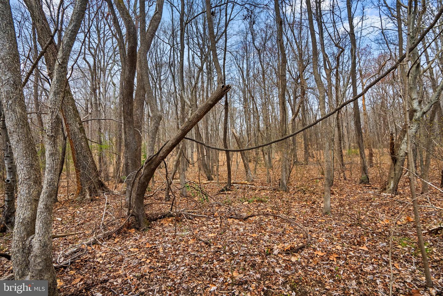 4850 Breezy Point Rd Property Photo 8