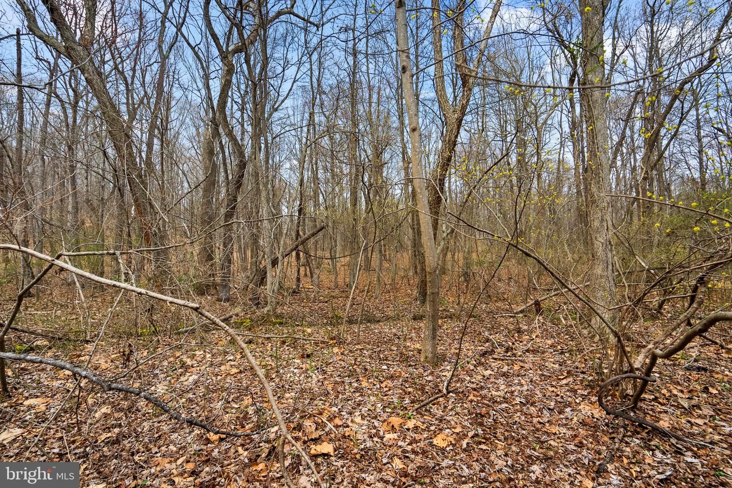 4850 Breezy Point Rd Property Photo 11