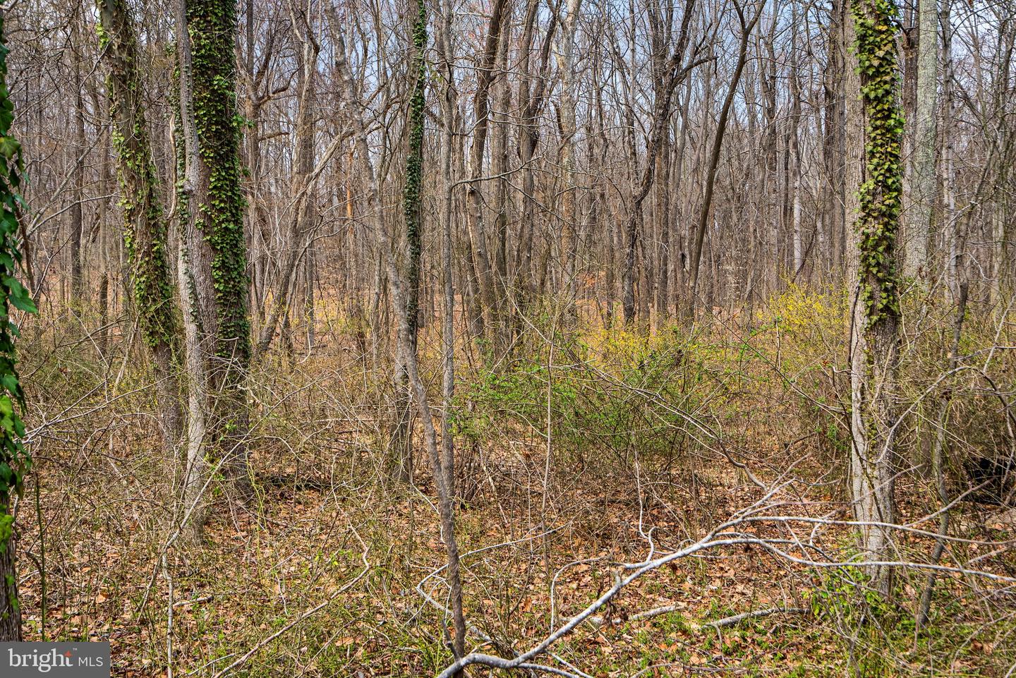 4850 Breezy Point Rd Property Photo 12