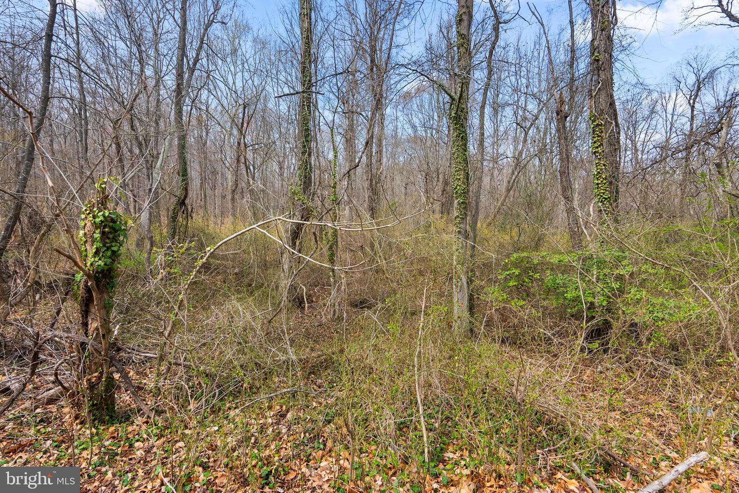 4850 Breezy Point Rd Property Photo 13