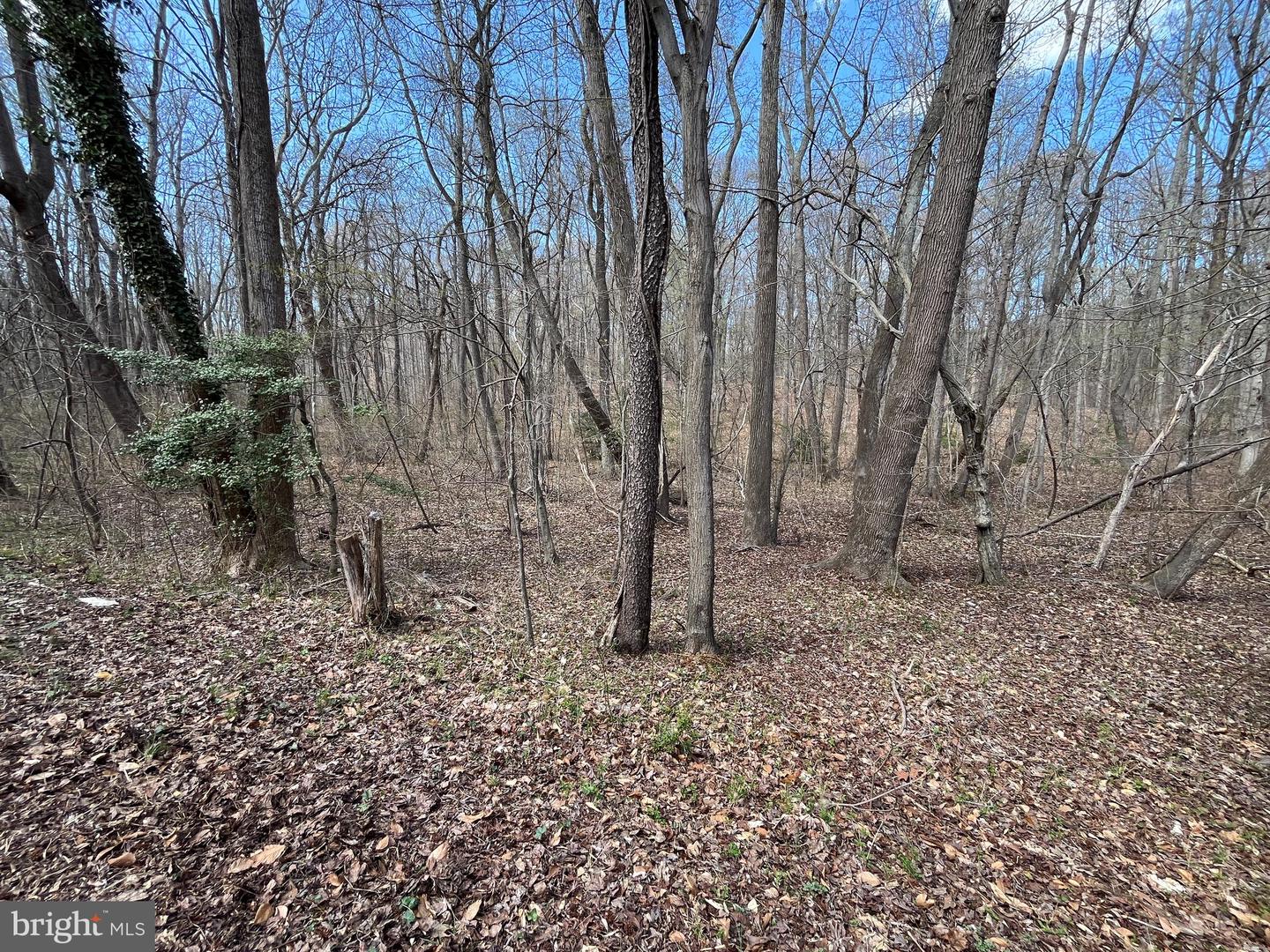 4850 Breezy Point Rd Property Photo 15
