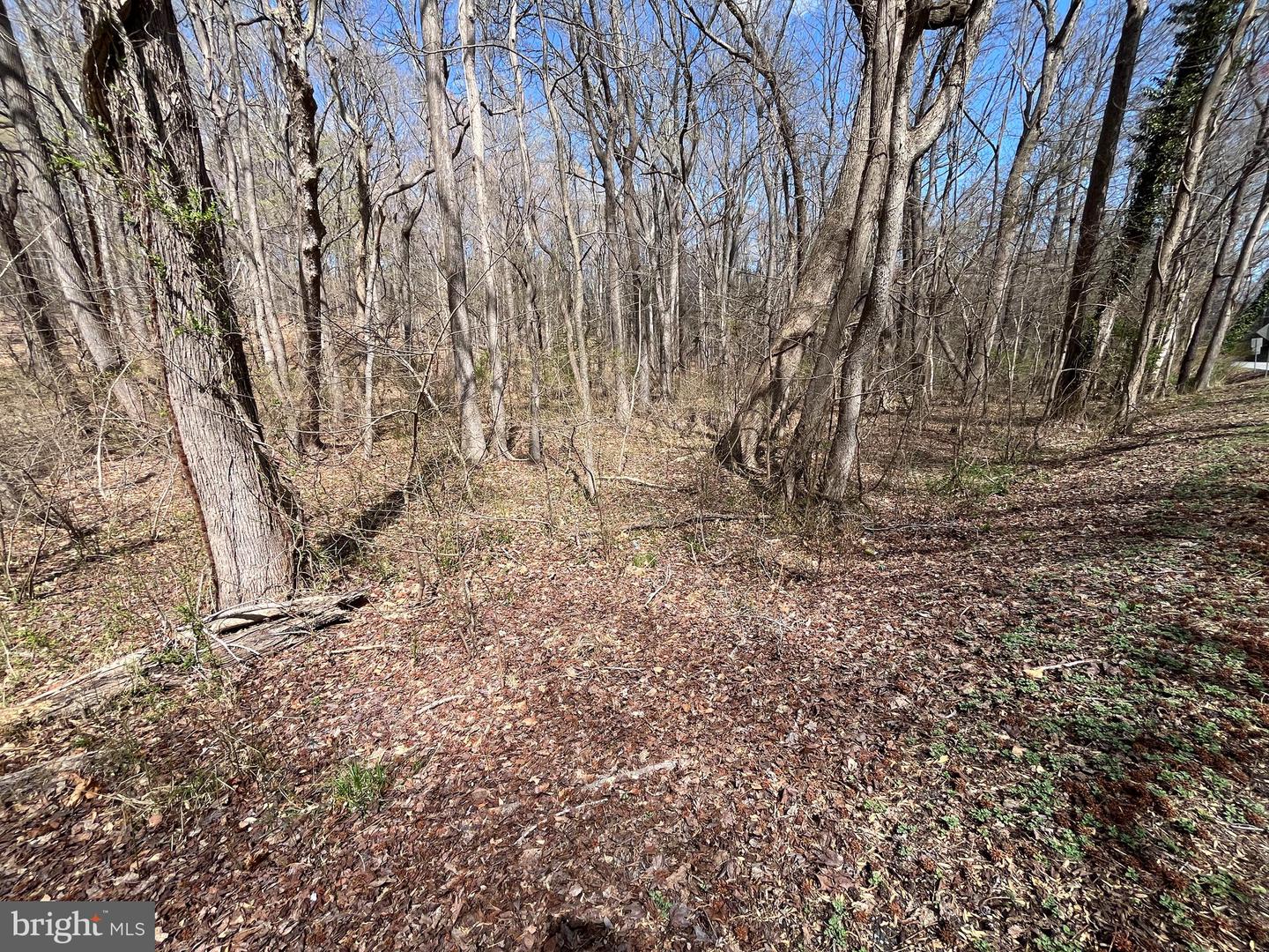 4850 Breezy Point Rd Property Photo 16