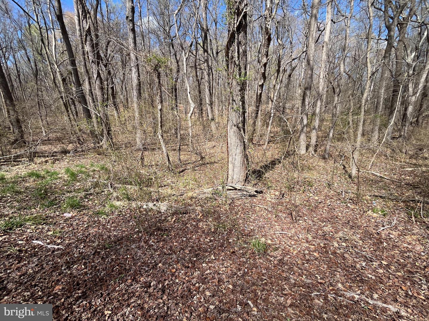 4850 Breezy Point Rd Property Photo 17