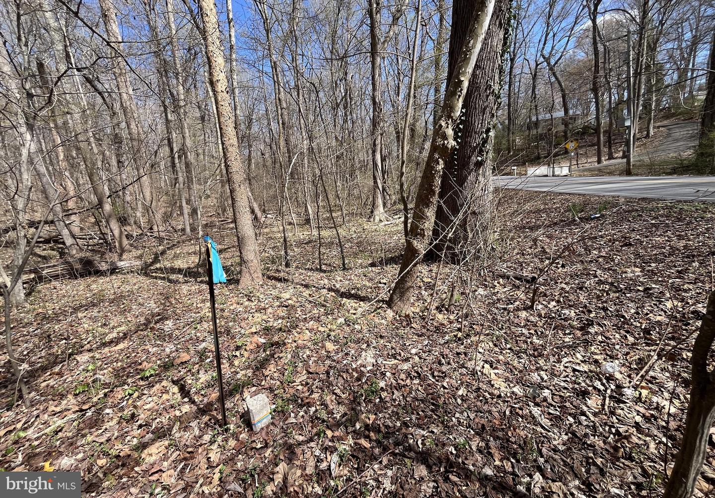 4850 Breezy Point Rd Property Photo 21