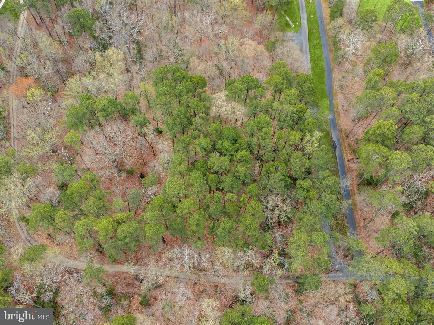 13256 Olivet Rd Property Photo 4