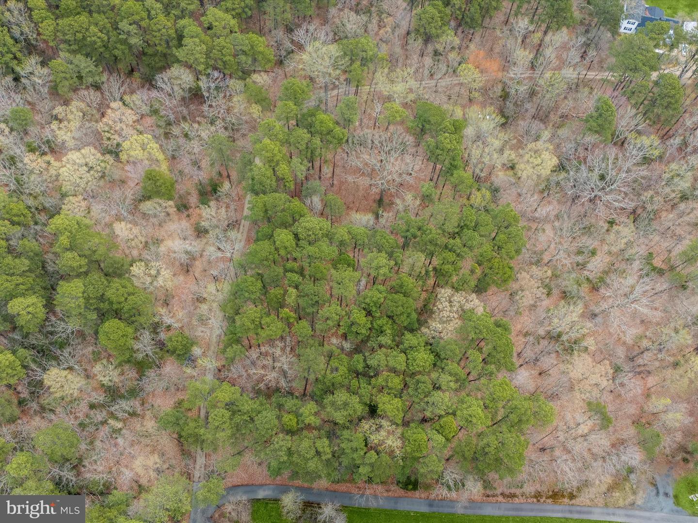 13256 Olivet Rd Property Photo 8
