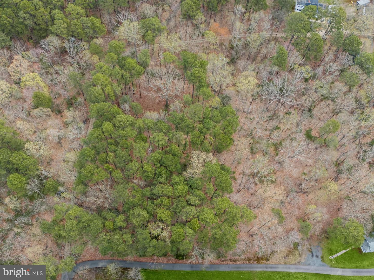13256 Olivet Rd Property Photo 9