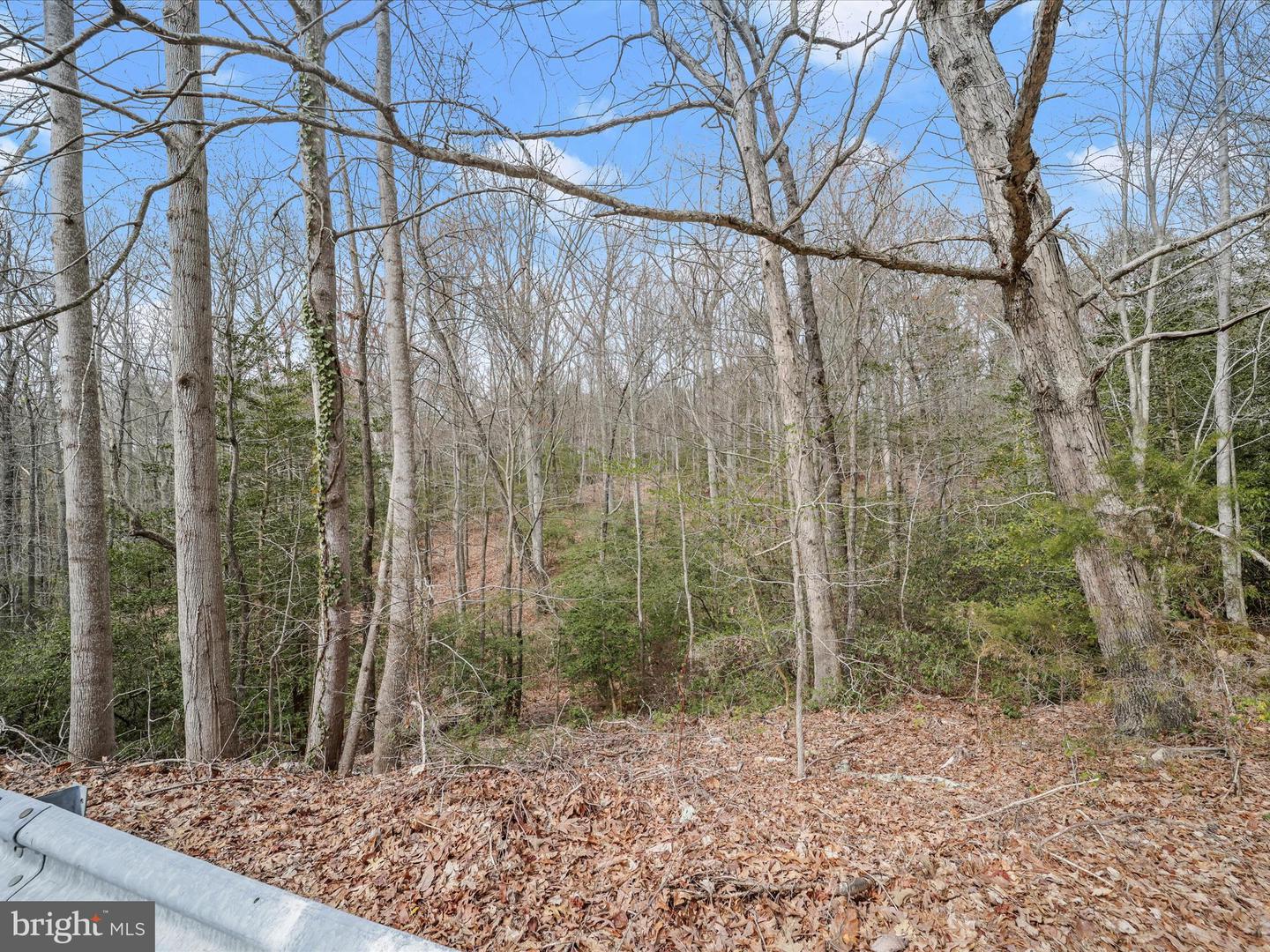 2625 Cove Point Rd Property Photo 3