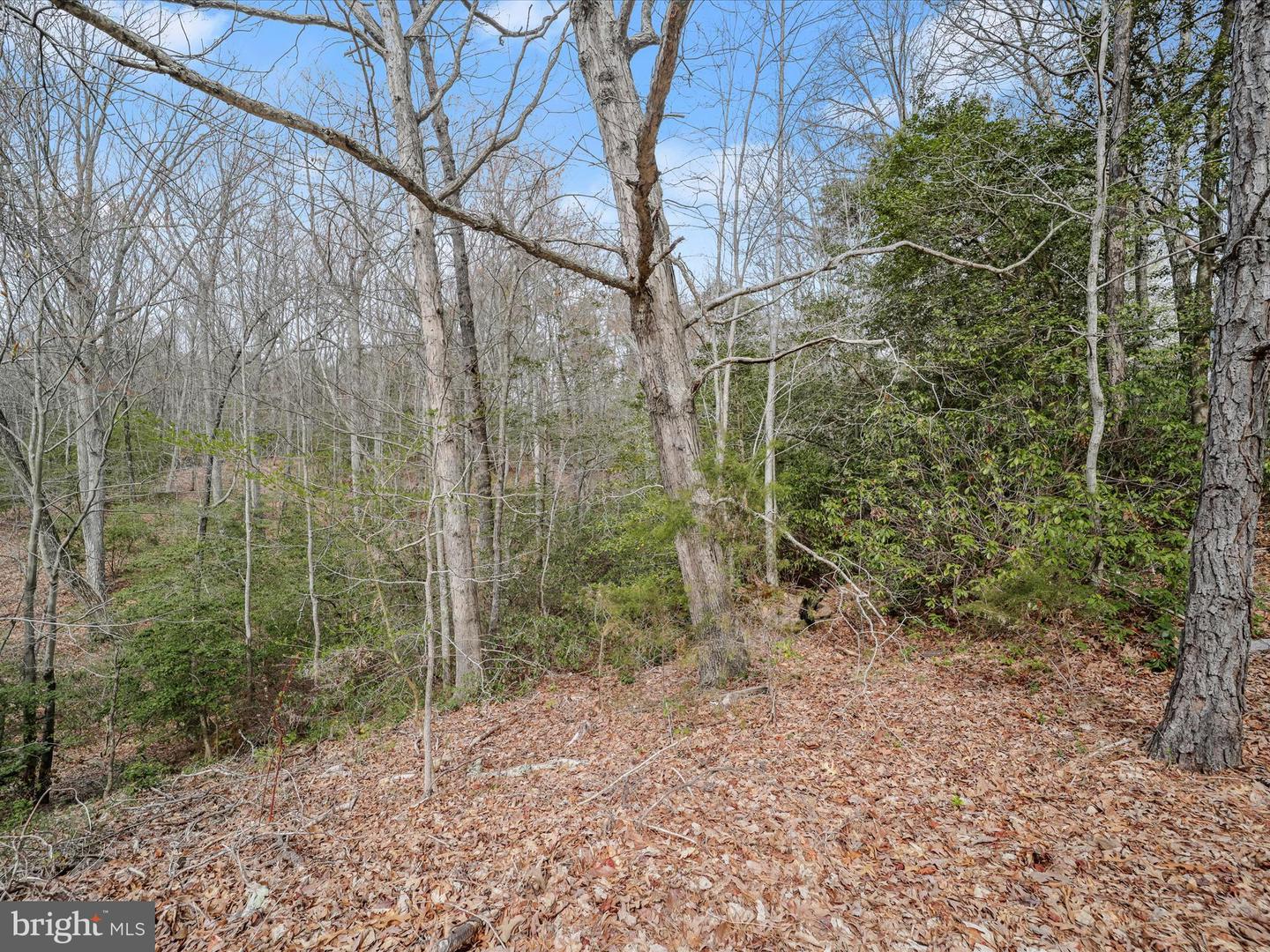 2625 Cove Point Rd Property Photo 4